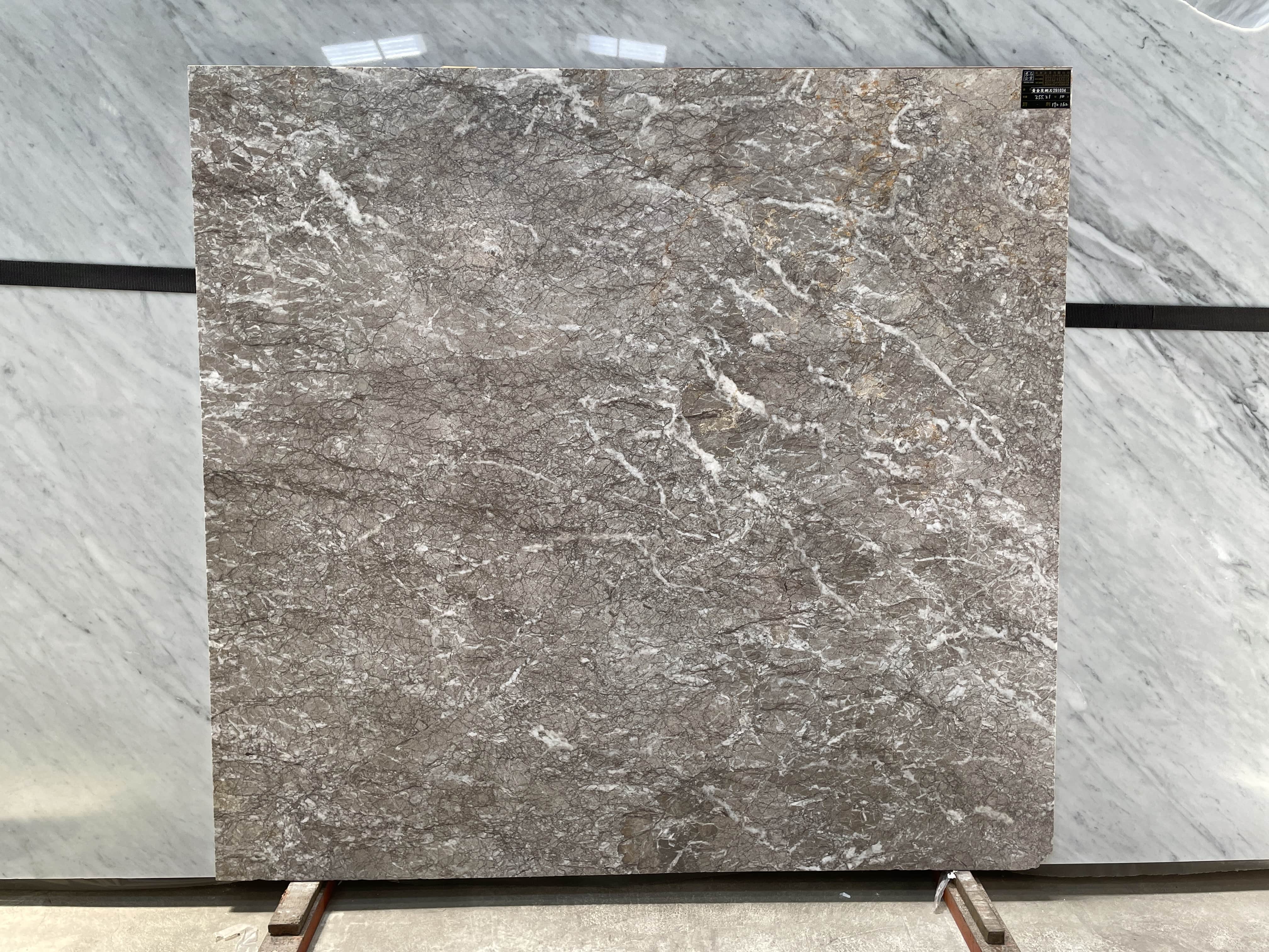 黃金灰網石291034